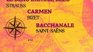 Le Voyage du Piccolo Orchestra
